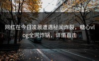 网红在今日凌晨遭遇秘闻炸裂，糖心vlog全网炸锅，详情直击