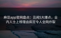 麻豆app官网盘点：丑闻5大爆点，业内人士上榜理由疯狂令人全网炸裂