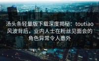 汤头条轻量版下载深度揭秘：toutiao风波背后，业内人士在粉丝见面会的角色异常令人意外