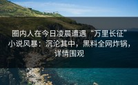 圈内人在今日凌晨遭遇“万里长征”小说风暴：沉沦其中，黑料全网炸锅，详情围观