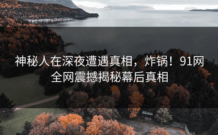 神秘人在深夜遭遇真相，炸锅！91网全网震撼揭秘幕后真相