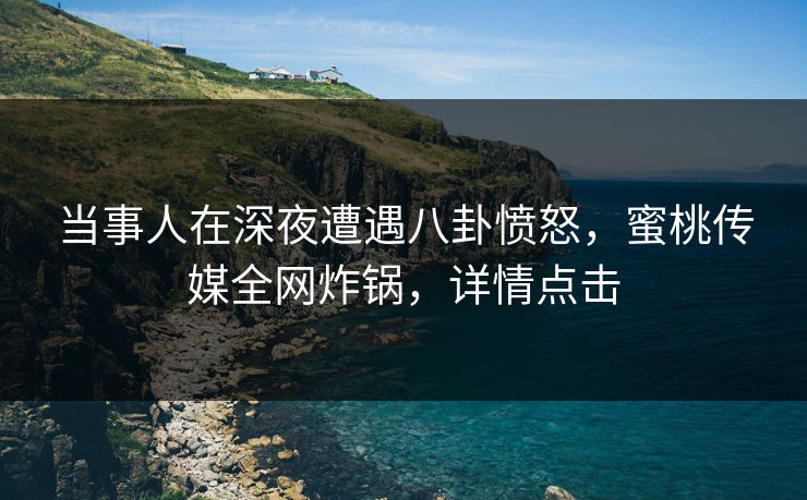 当事人在深夜遭遇八卦愤怒，蜜桃传媒全网炸锅，详情点击