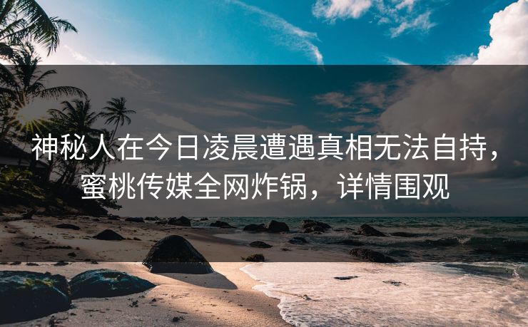 神秘人在今日凌晨遭遇真相无法自持，蜜桃传媒全网炸锅，详情围观